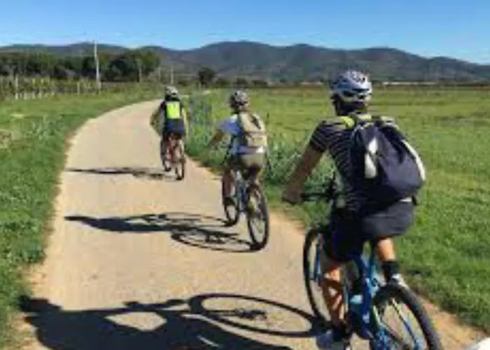 Apartment Casa Viola Grosseto