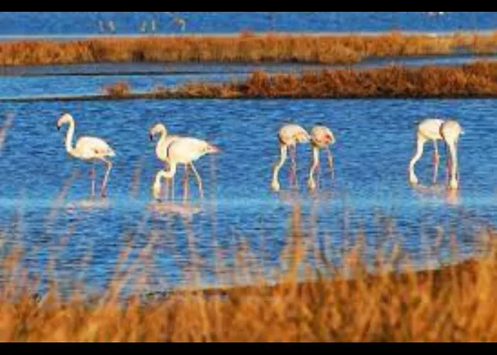 Casa Viola Apartment *